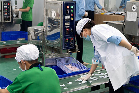 Hình ảnh sản xuất
