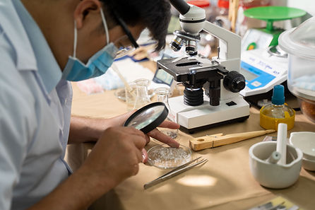Hình ảnh sản xuất