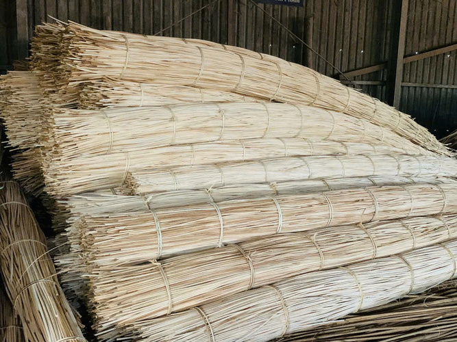 Hình ảnh sản xuất