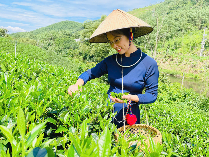 产品与服务