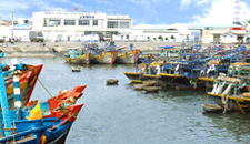 Nhà máy chế biến hải sản đông lạnh số 3