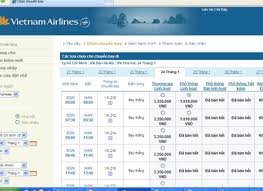 Vietnam Airline