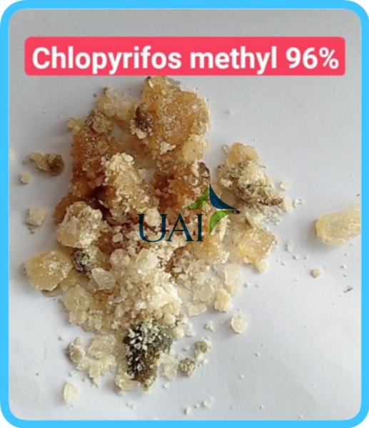 资质或荣誉图片