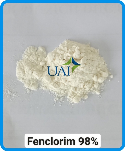 资质或荣誉图片