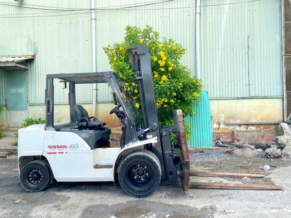 Hình ảnh sản phẩm