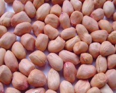 Đậu phộng