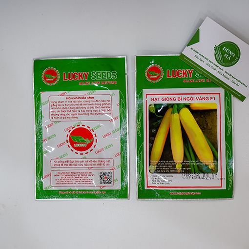 Hạt giống bí ngòi vàng