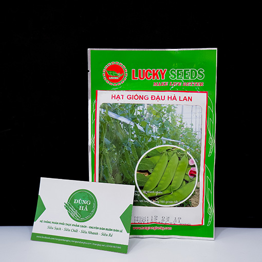 Hạt giống đậu Hà Lan