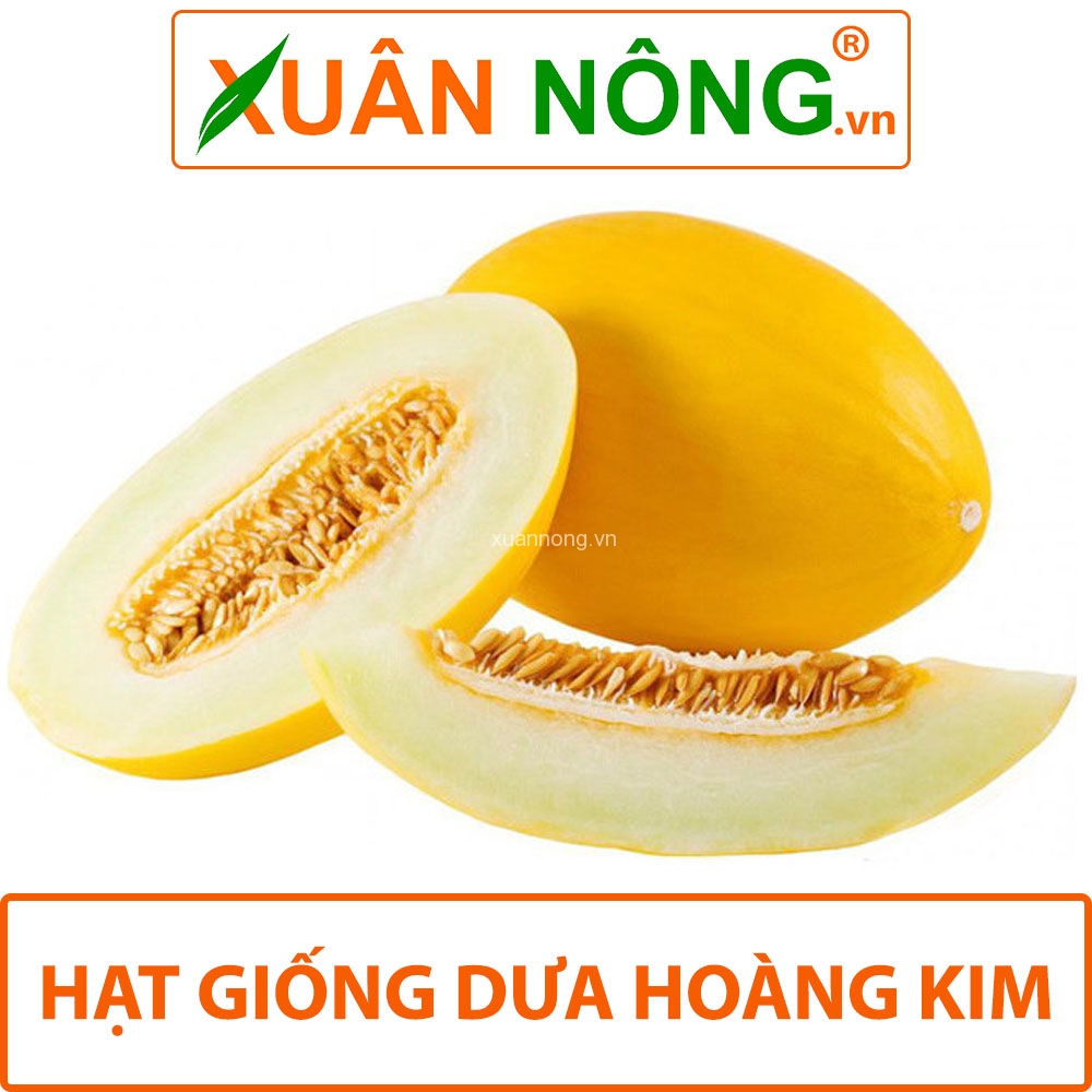 Hạt giống dưa hoàng kim
