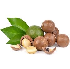 Hạt macadamia