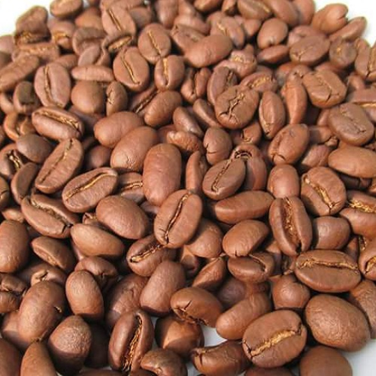 资质或荣誉图片