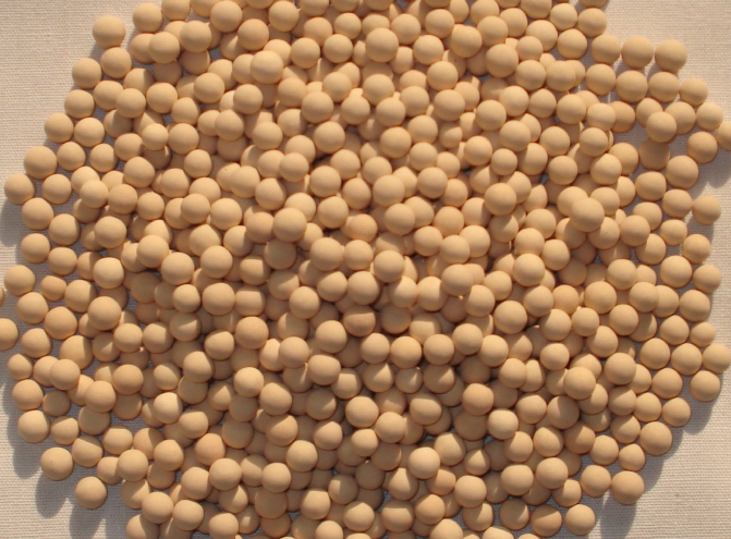 Hạt hút ẩm Carbon Oxit