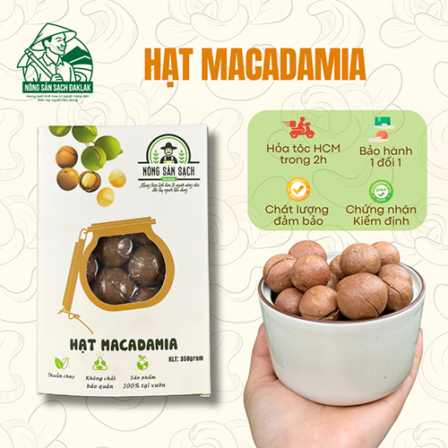 Hạt macca size chuẩn hộp giấy