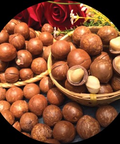 Hạt macadamia size 25-28mm