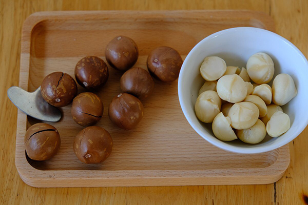 Hạt macca