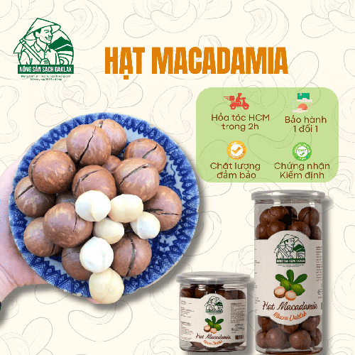 Hạt macca sấy nứt vỏ Daklak
