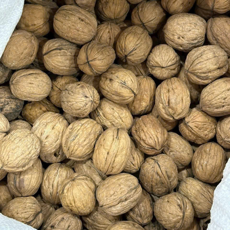 Hạt óc chó