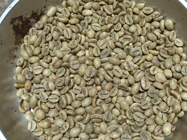 Hạt cà phê Robusta