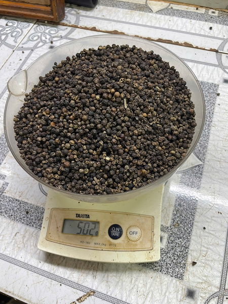 Hạt tiêu đen 500gl FAQ