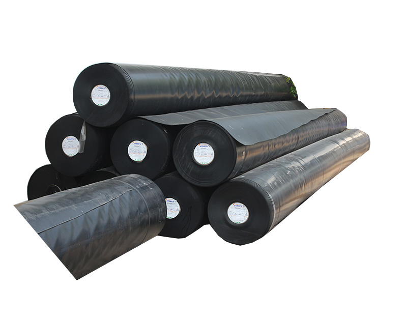 Màng chống thấm HDPE