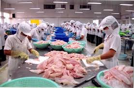Hệ thống xử lý nước thải chế biến thủy sản
