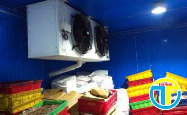 Hệ thống kho lạnh cấp đông