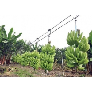 Hệ thống thu gom nông sản
