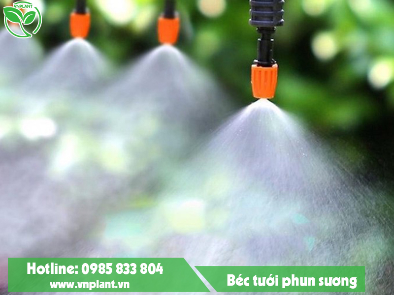 Hệ thống tưới phun sương