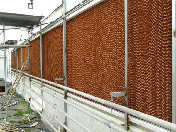 Thi công hệ thống làm mát nhà xưởng bằng Cooling Pad
