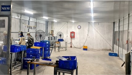 Hệ thống làm sạch bề mặt