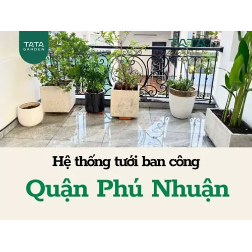 Thi công hệ thống tưới cây Phú nhuận