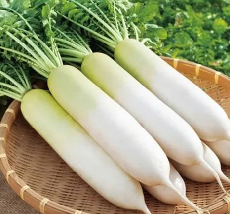 Hạt giống củ cải trắng