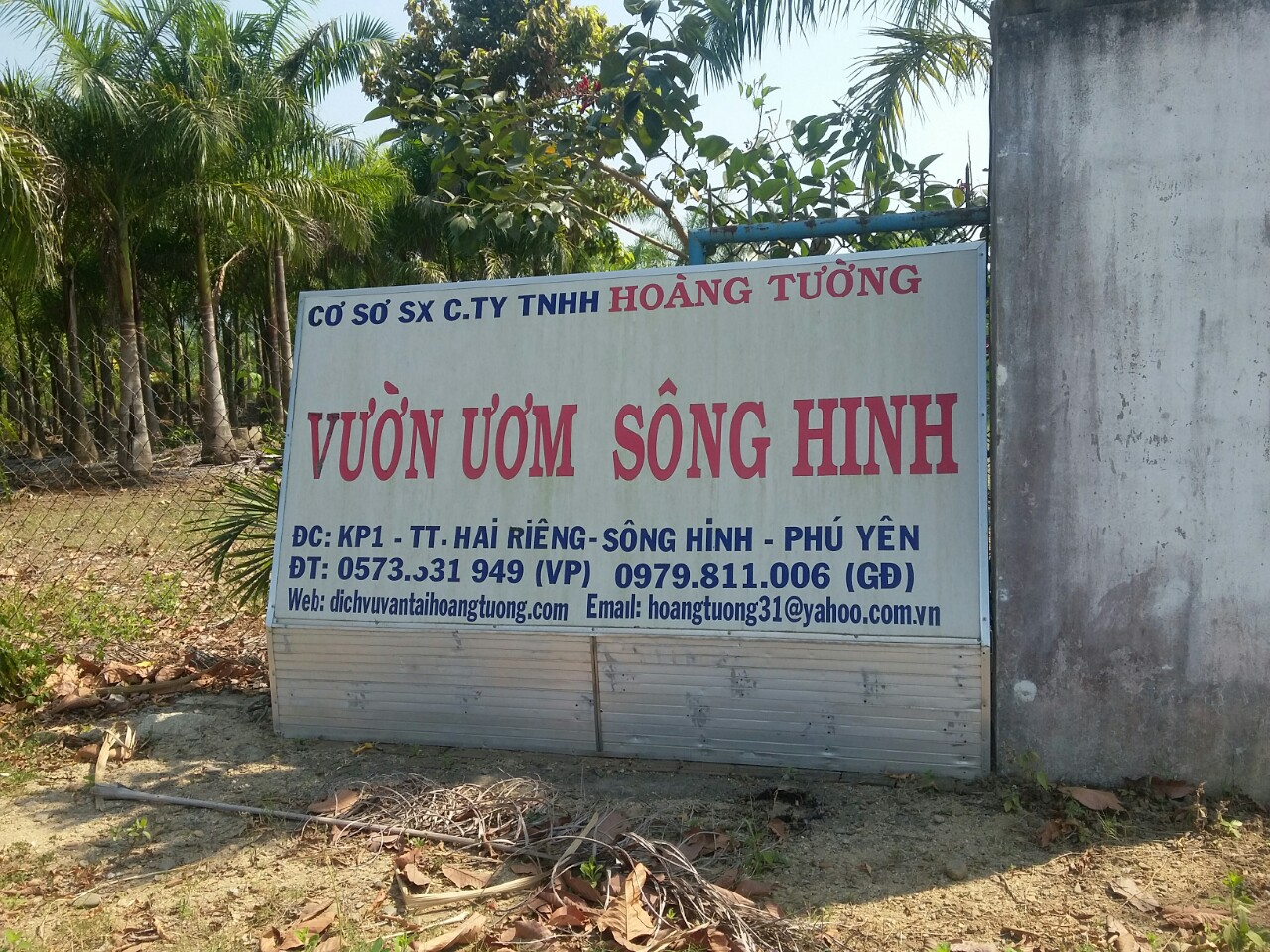 Vườn ươm, cây trồng