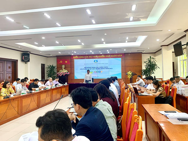 Hình ảnh công ty Đông Nam Việt