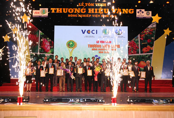 Hình ảnh công ty Đông Nam Việt