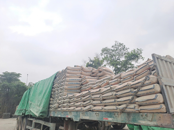 Hình ảnh công ty Đông Nam Việt