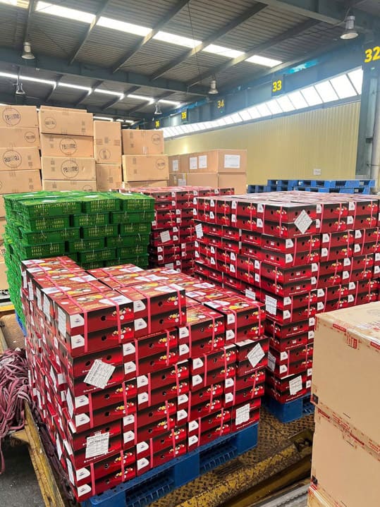 Hình ảnh hoạt động công ty Phước Thành Tài