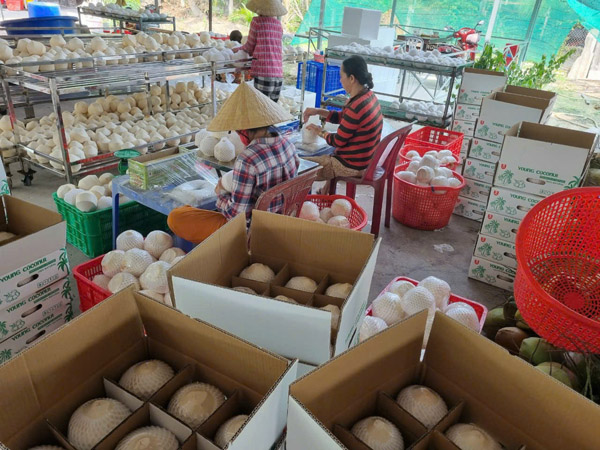 Hình ảnh hoạt động công ty Phước Thành Tài