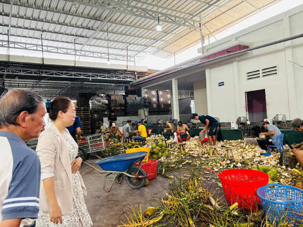 Hình ảnh hoạt động công ty Phước Thành Tài
