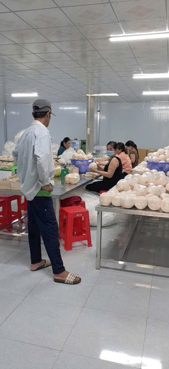 Hình ảnh hoạt động công ty Phước Thành Tài