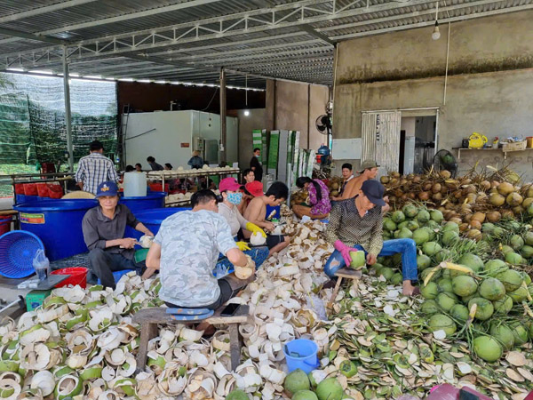 Hình ảnh hoạt động công ty Phước Thành Tài
