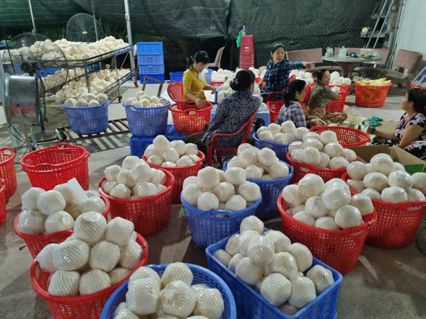 Hình ảnh hoạt động công ty Phước Thành Tài