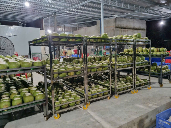 Hình ảnh hoạt động công ty Phước Thành Tài