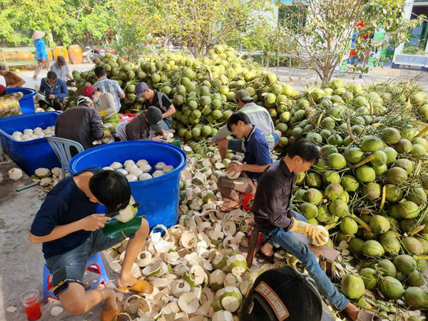 Hình ảnh hoạt động công ty Phước Thành Tài
