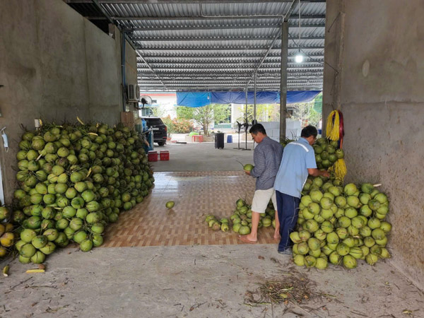 Hình ảnh hoạt động công ty Phước Thành Tài