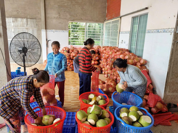 Hình ảnh hoạt động công ty Phước Thành Tài