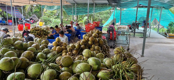 Hình ảnh hoạt động công ty Phước Thành Tài
