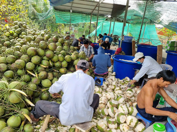 Hình ảnh hoạt động công ty Phước Thành Tài