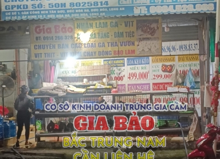 Hình ảnh hoạt động
