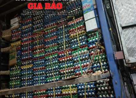 Hình ảnh hoạt động